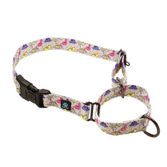 Martingale All Nylon Dog Collar - Bees, Dinosaur, Red Poppies & Life is Better