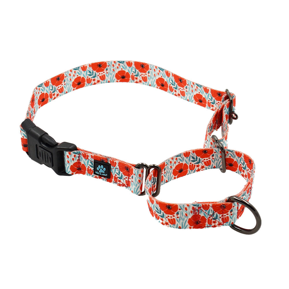 Dog collar with poppies 2025