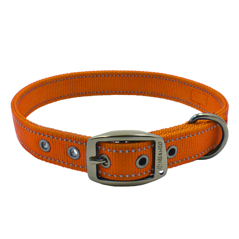 12 Gorgeous Fall Dog Collars to Add to Your Cart Right Now