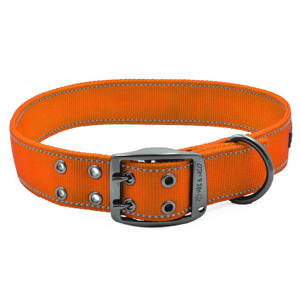 The MAX XL Dog Collar Max and Neo