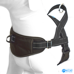 Passport Harness