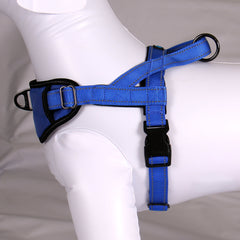 Passport Harness