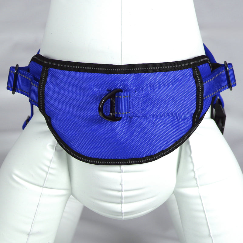 Passport Harness