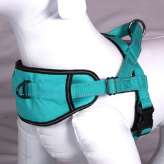 Passport Harness