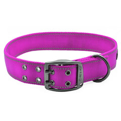 The MAX XL Dog Collar