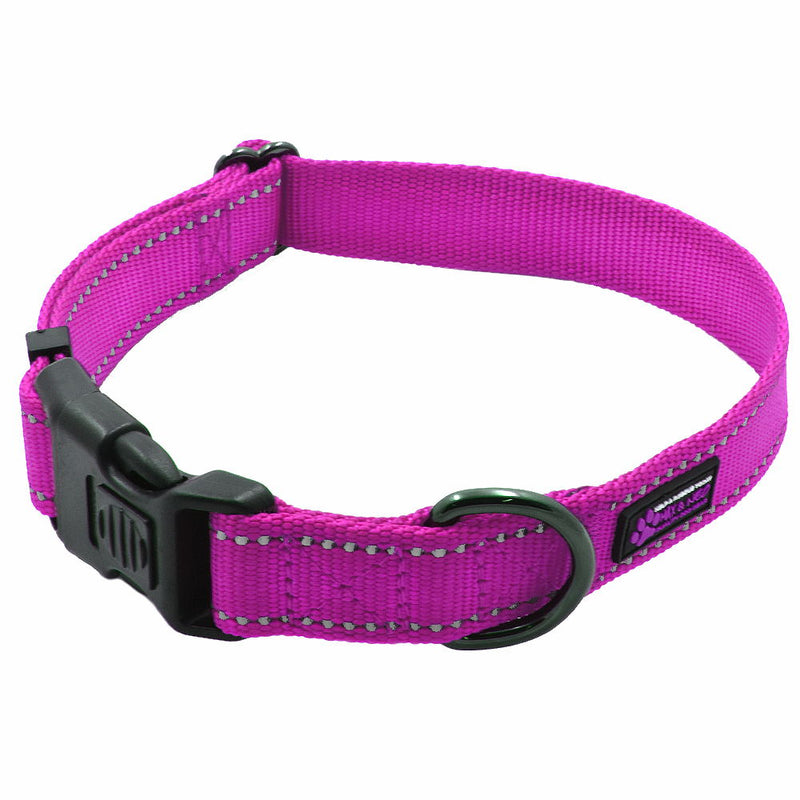 The NEO Dog Collar