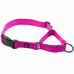 Martingale All Nylon Dog Collar