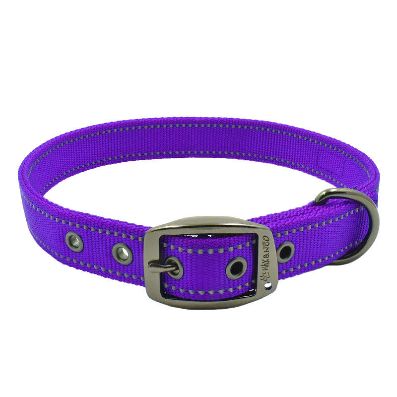 Purple dog collar metal sales buckle