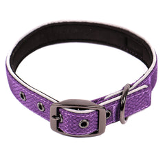 Glacier Dog Collar