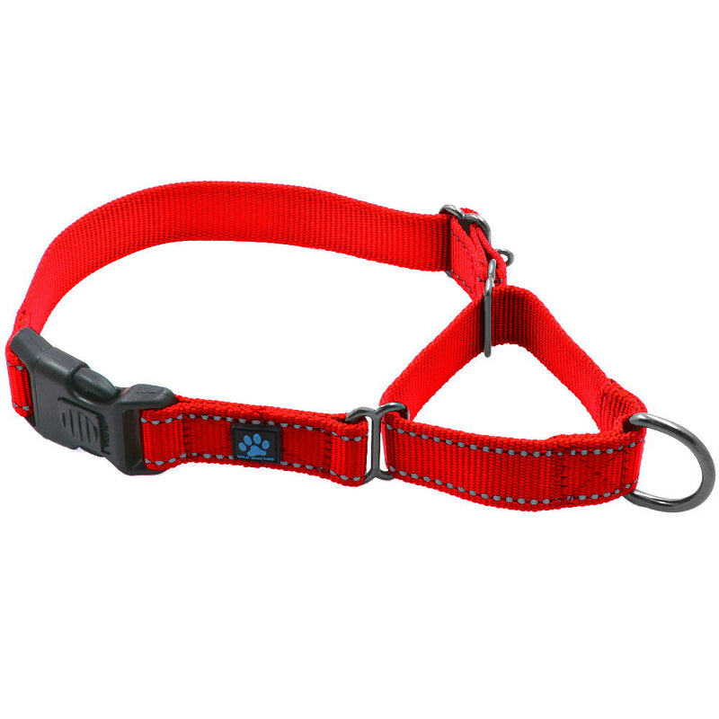 Martingale All Nylon Dog Collar