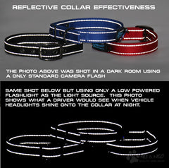 The MAX Dog Collar