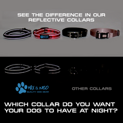 The MAX XL Dog Collar