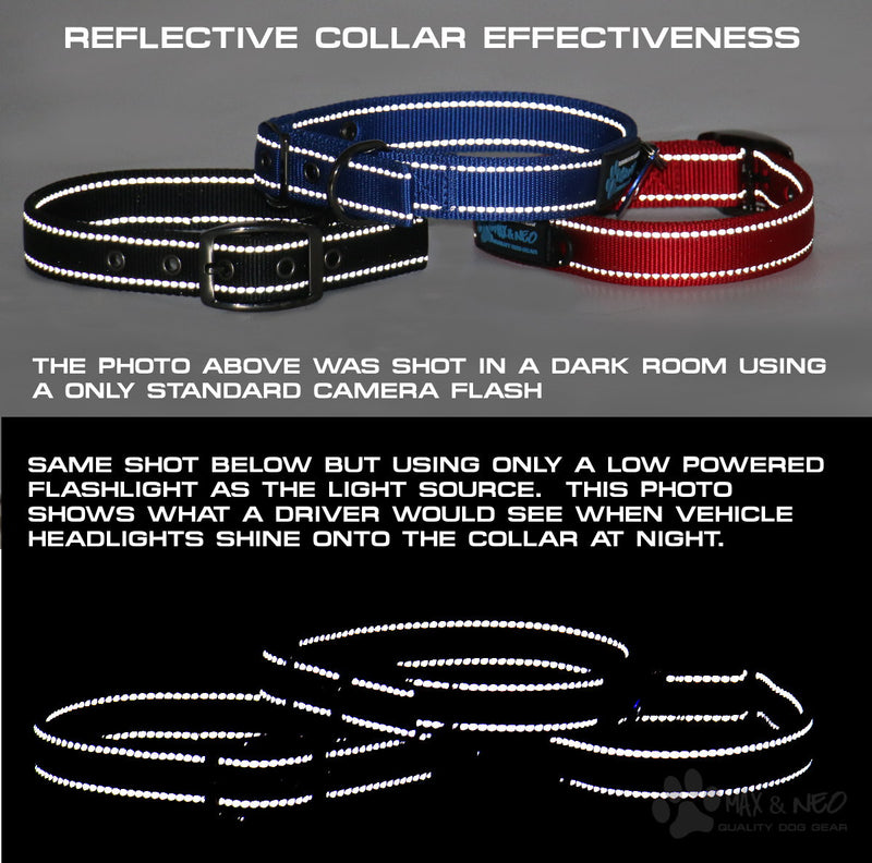 The NEO Dog Collar