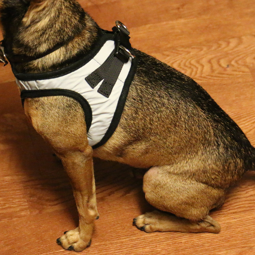 Nanu Small Dog Reflective Dog Harness Max and Neo