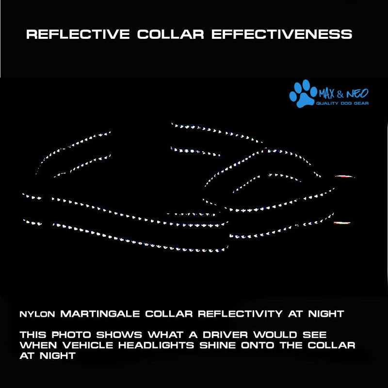 Martingale All Nylon Dog Collar
