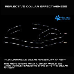 Martingale All Nylon Dog Collar