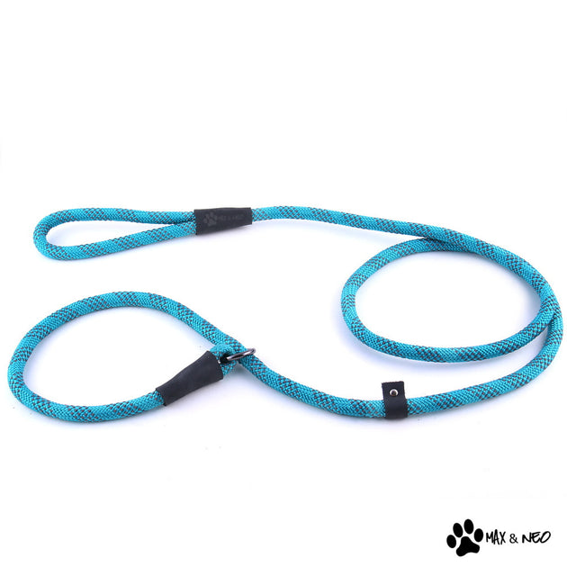 5 Foot Reflective Nylon Rope Slip Lead Max and Neo