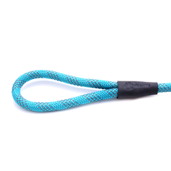 5 Foot Reflective Nylon Rope Slip Lead