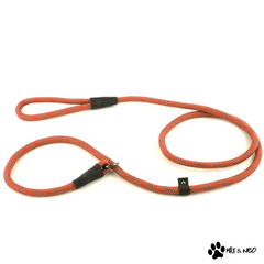 5 Foot Reflective Nylon Rope Slip Lead