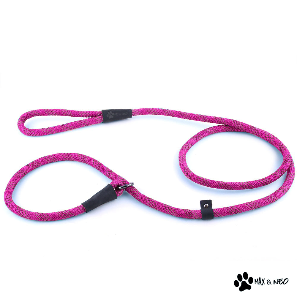 5 Foot Reflective Nylon Rope Slip Lead