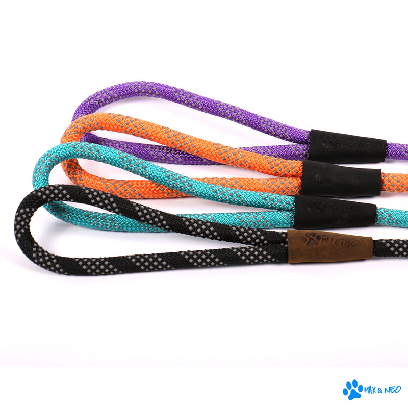 6 Foot Rope Reflective Leash