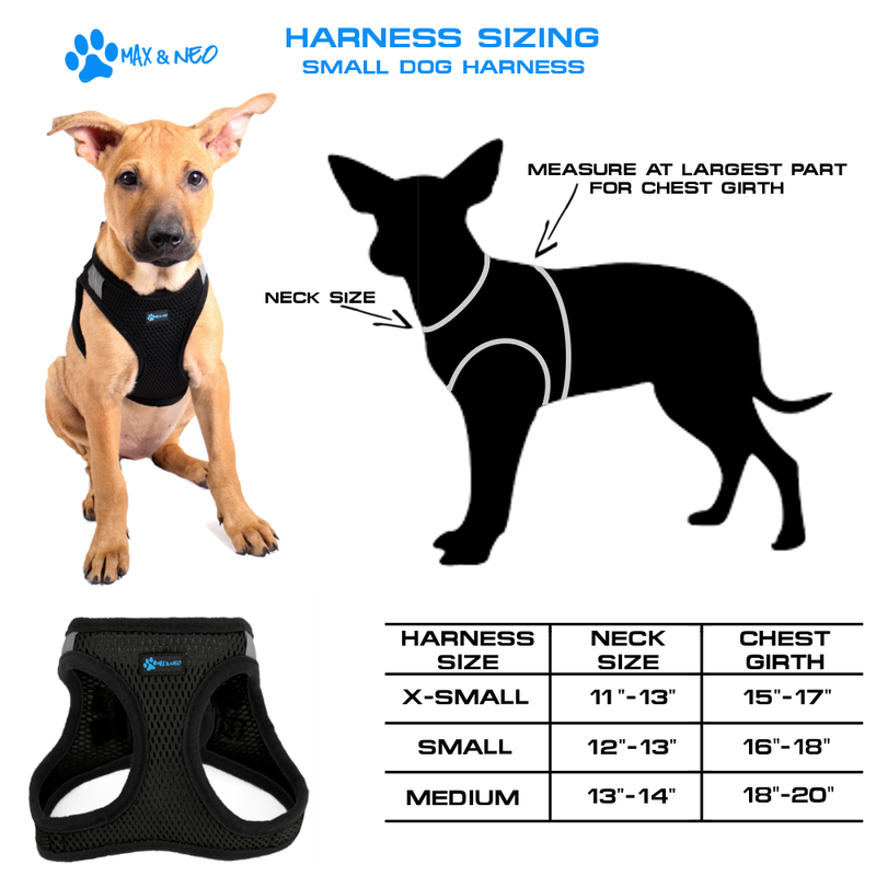 Nanu Small Dog Harness