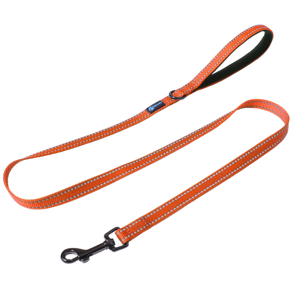 How To Repair Nylon Dog Leash ? Here Are 6 Incredible Way