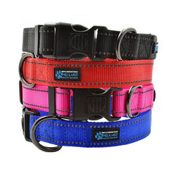 The NEO Dog Collar